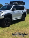 Lokasuojan levike, Toyota Land Cruiser 150 38