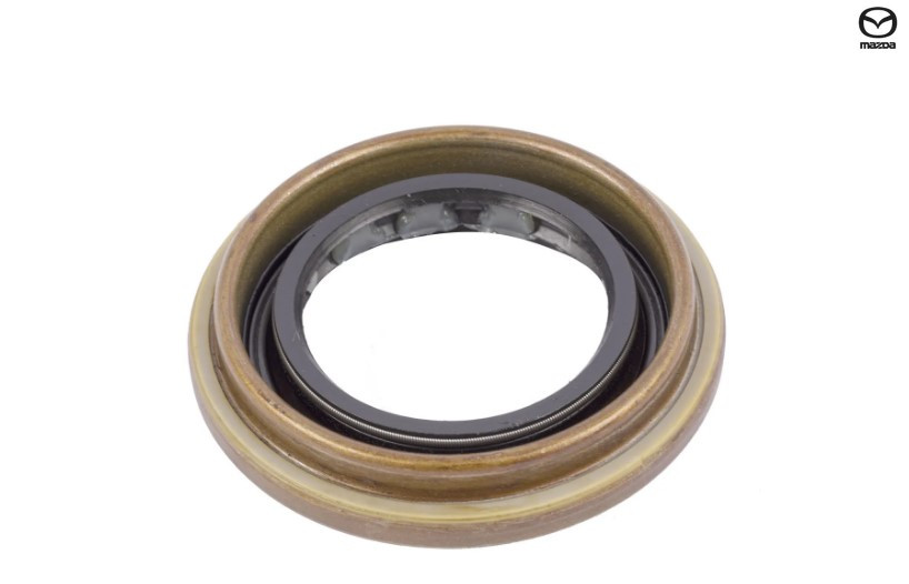 Pinion Oil Seal, Rear