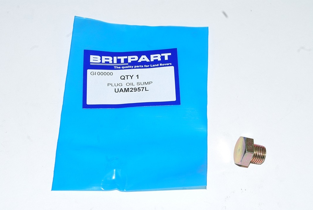 Sump Plug 300Tdi, Copper Washer