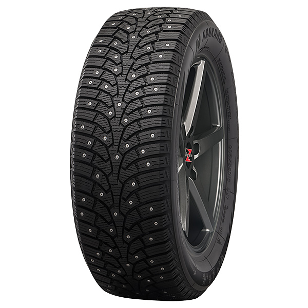 215/65R16 102T NANKANG SW-9