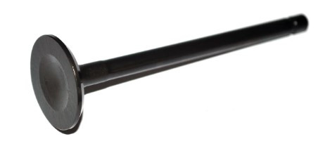 Valve Intake