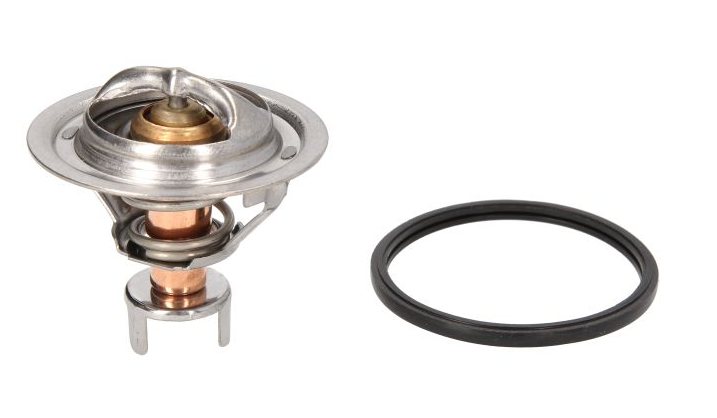 termostat, Nissan