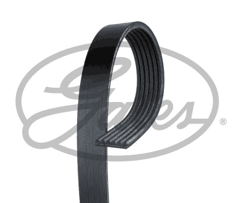 GAT 6PK1000 Serpentine Belt