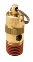 Safetly Valve