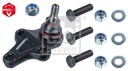Front lower ball joint