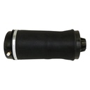 Air Suspension Spring Assembly, Rear
