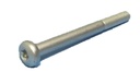Bolt M10 x 110 Torx